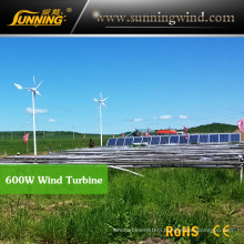 Residential Wind Generator 600W Maglev Wind Turbine Home Use